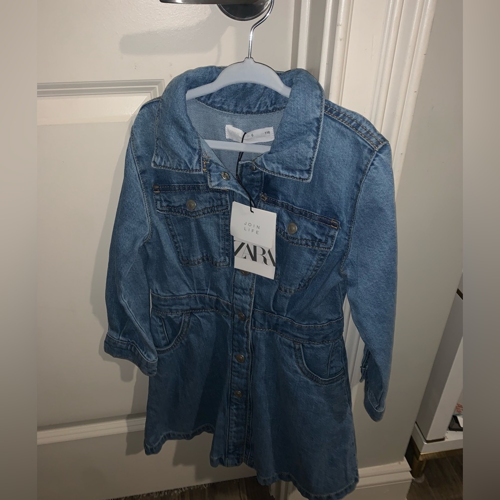 Zara Jean dress